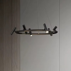 LED Полилей VECTOR Z2149-6R